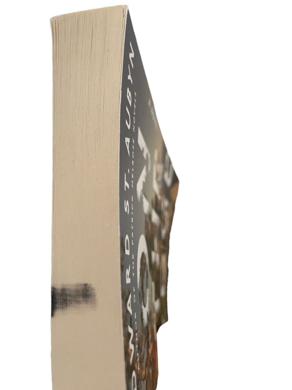 On The Edge Paperback by Edward St. Aubyn EUC - Picture 4 of 7